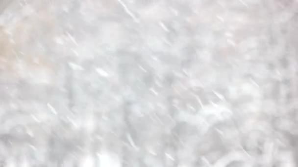 Nieve cayendo sobre fondo borroso. — Vídeo de stock