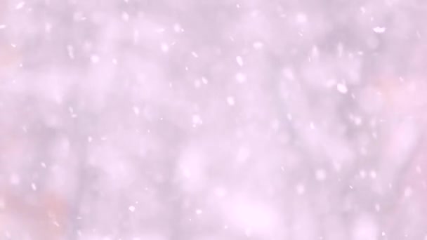 Nieve cayendo sobre fondo borroso. — Vídeos de Stock
