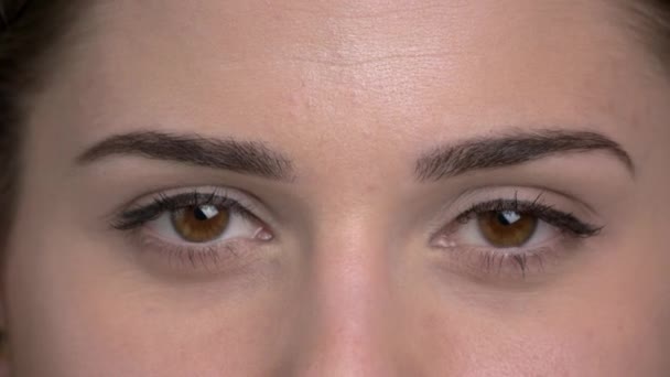 Close-up van bruine vrouwelijke ogen. — Stockvideo