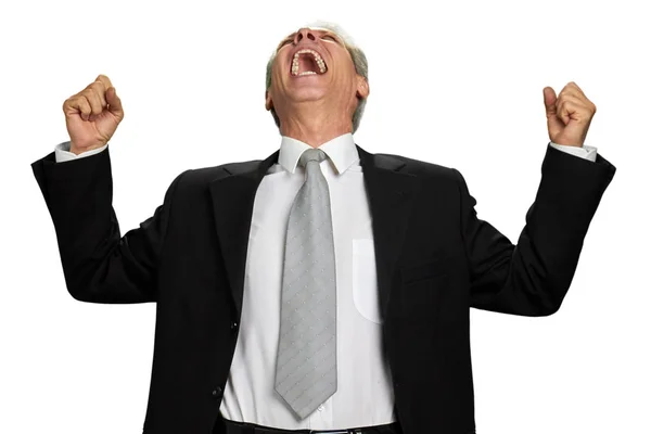 Excited businessman celebrating success on white background. — Stock Photo, Image