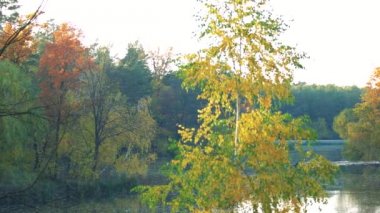 Güzel sonbahar manzarası.