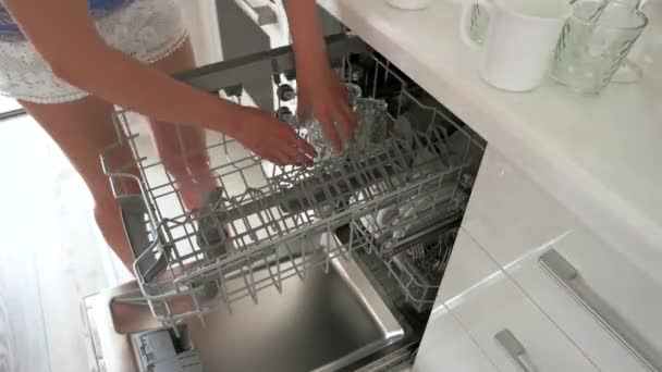 Woman loading glasses and glassware to dishwasher machine. — Stock Video