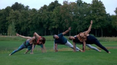 Grup yoga Park yaparken beyaz insan.