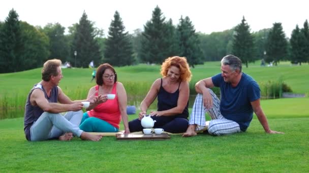 Grupp av glada vänner dricka te utomhus. — Stockvideo