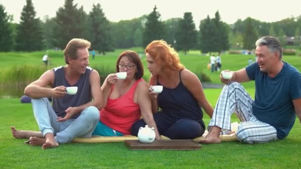Piknik dla dorosłych dojrzałych ludzi na zewnątrz. — Wideo stockowe