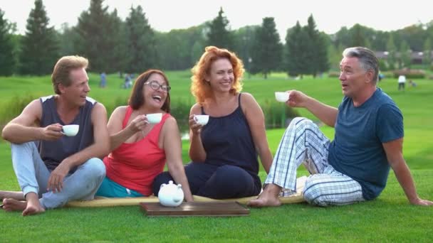 Riendo personas maduras al aire libre . — Vídeos de Stock