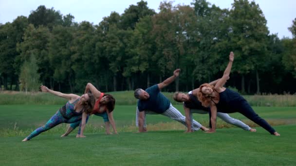 Gruppe kaukasischer Menschen macht Yoga im Park. — Stockvideo