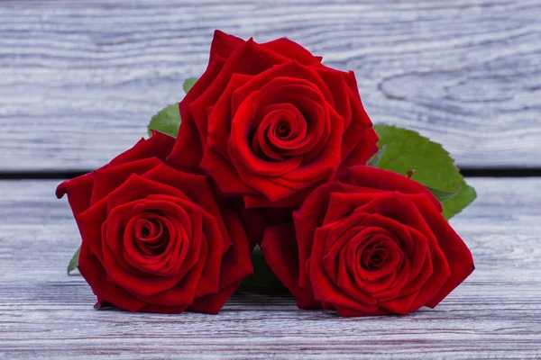 Close up rosas vermelhas em madeira cinza . — Fotografia de Stock