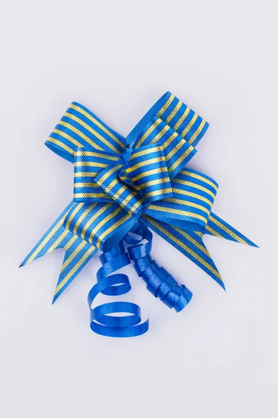 Festive gift bow of blue color.