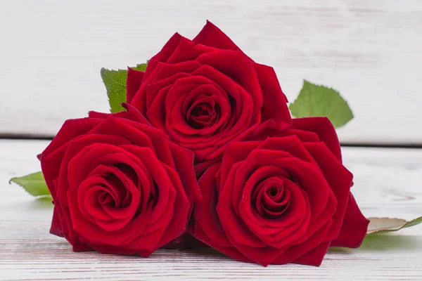 Rosas vermelhas frescas fundo . — Fotografia de Stock