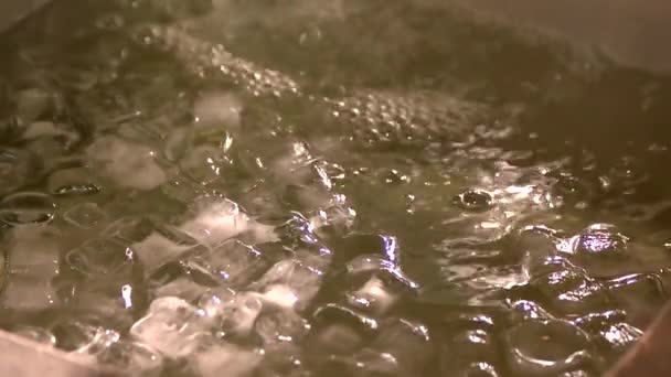 Cubi di ghiaccio galleggianti sull'acqua . — Video Stock