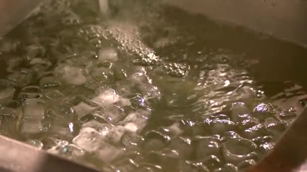 Cubi di ghiaccio che cadono nell'acqua, slow-mo . — Video Stock