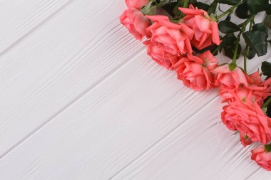 Beyaz ahşap zemin üzerinde güzel güller.