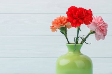 Bir vazoda karanfil çok renkli çiçekler.