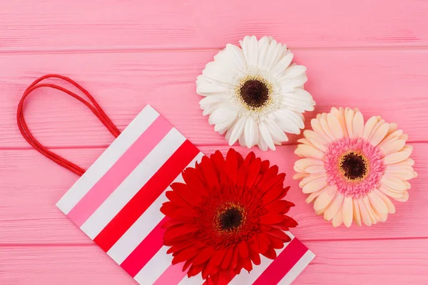 Gerbera margarida flores cabeças e saco de compras . — Fotografia de Stock