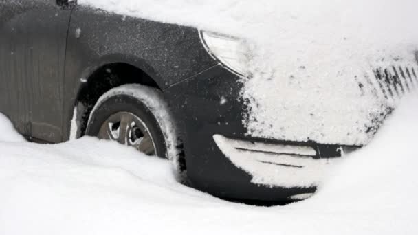 吹雪で立ち往生している車のクローズ アップ. — ストック動画