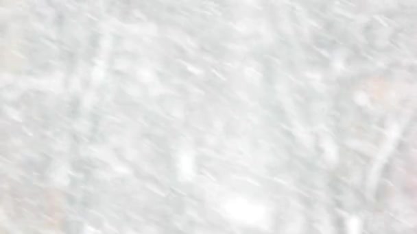 Close up of slanting snow falling. — Stock Video