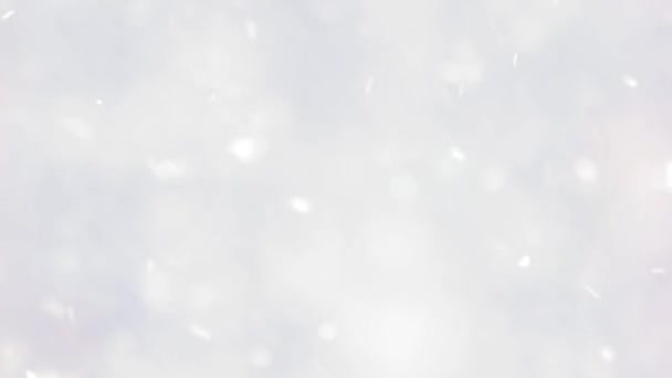 Schneeflocken fallen auf verschwommenem Hintergrund. — Stockvideo