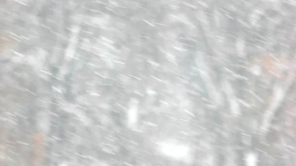 Падаючий сніг проти дерев . — стокове фото