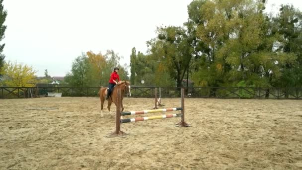 Jonge vrouwelijke ruiter op baai paard springen over de hindernis. — Stockvideo