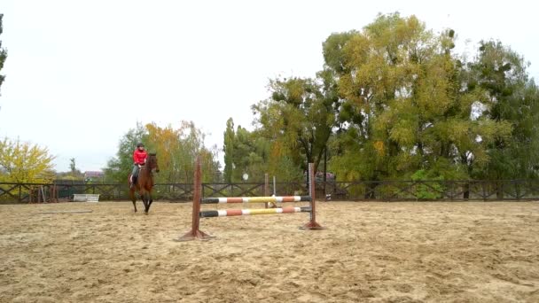 Addestramento Fantino Donna Cavallo Ragazza Rallentatore Che Salta Oltre Recinzione — Video Stock