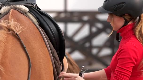 Beautiful girl preparing saddle for riding horse. — Stock Video