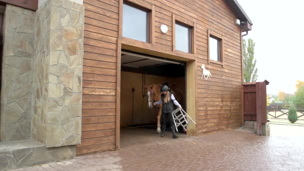 Жінка, що виводить коня зі стайні . — стокове відео