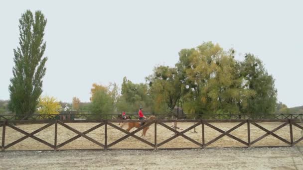 Deux jeunes femmes galopant des chevaux . — Video