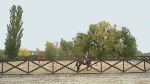 Mujeres jóvenes a caballo en el campo de entrenamiento . — Vídeos de Stock