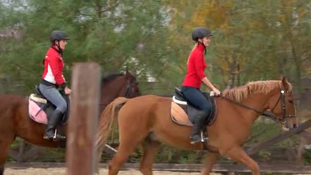 Kvinnliga jockeys på häst galopperar. — Stockvideo