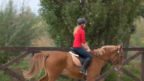 Desportivo feminino jockey prática equitação . — Vídeo de Stock