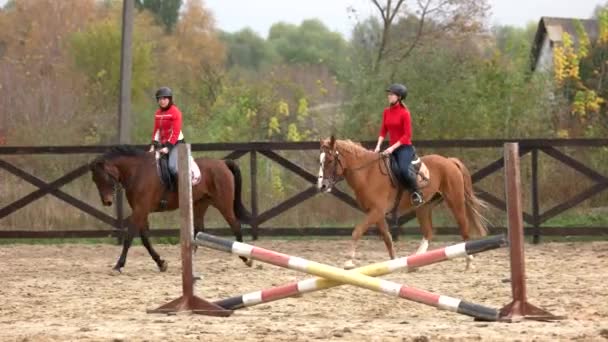 Mujeres jóvenes montando caballos en la granja . — Vídeos de Stock