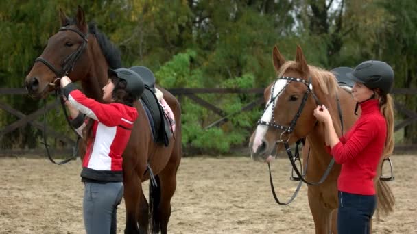 Šťastné ženy jezdci připravují své koně k ježdění. — Stock video
