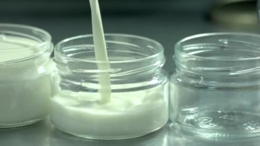 Şişe dökülen süt. Taze süt yoğurt yapmak için şişe içine dökme. Organik süt üretim kavramı.