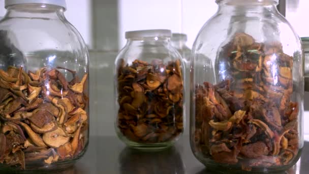 Dried Apples Glass Jars Dried Fruits Glass Jars Food Storage — Stock Video