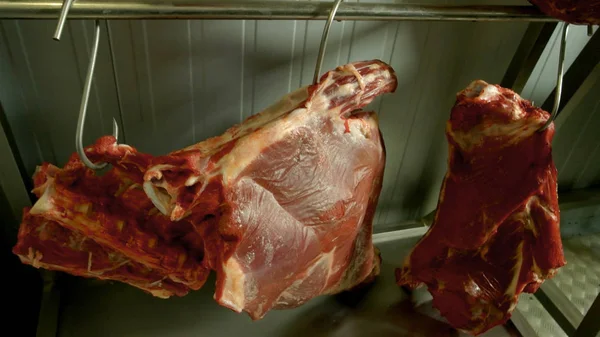 Cadenas de carne de vacuno cruda colgadas de ganchos . — Foto de Stock