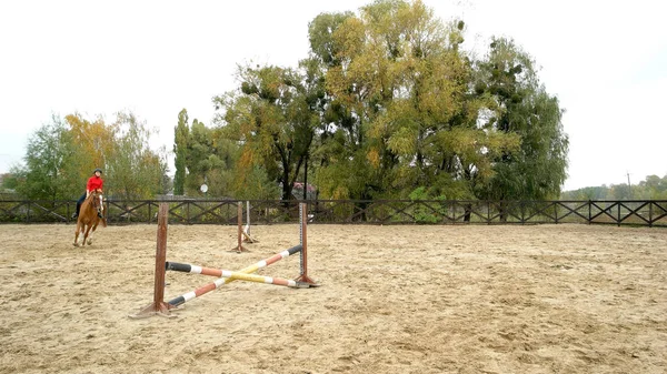 Jovem mulher montando cavalo na arena ao ar livre . — Fotografia de Stock