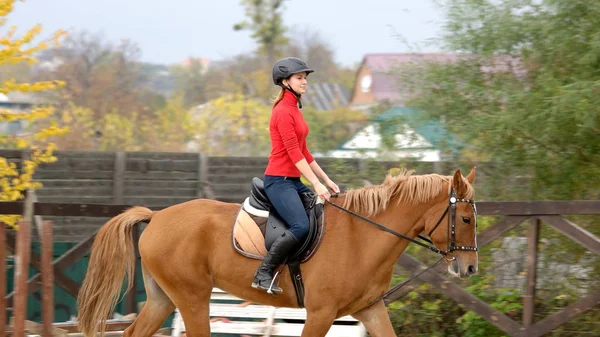 Sporty female jockey practices riding. — Stock Photo, Image