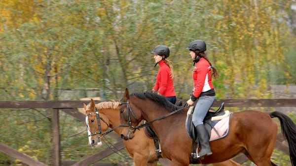Дві красиві дівчата катаються на конях на фермі . — стокове фото