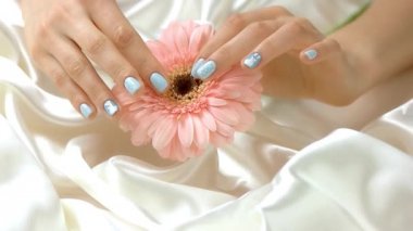 Gerbera, yavaş hareket ile bakımlı eller.