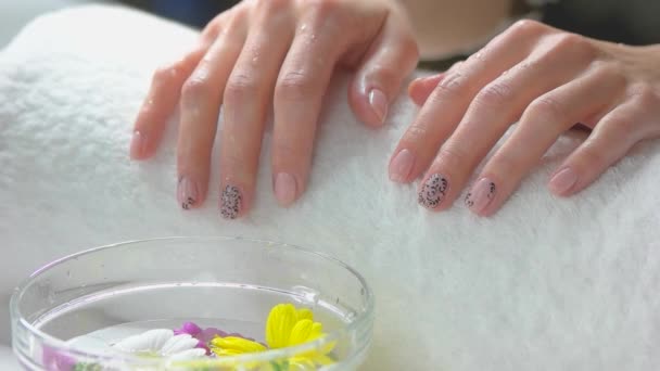 Hände Auf Weißem Handtuch Zeitlupe Schöne Weibliche Hände Nass Nach — Stockvideo