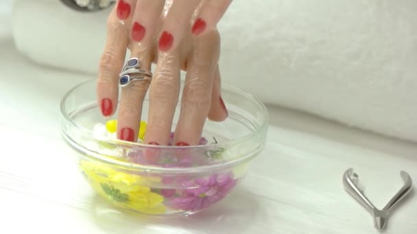 Piękne dłonie w kąpieli aromat, zwolnionym tempie. — Wideo stockowe