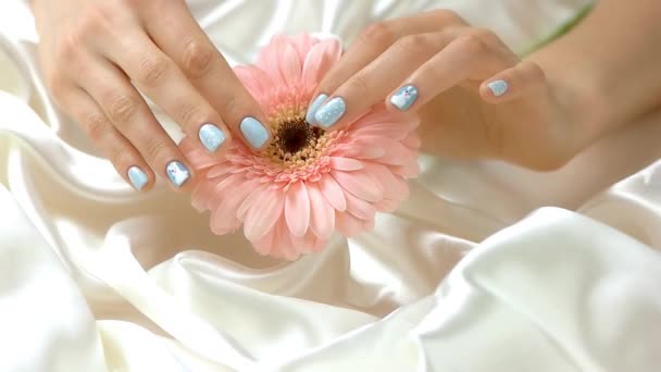 Mani ben curate con gerbera, rallentatore . — Video Stock