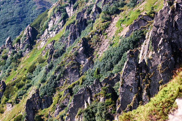 Carpathian mountains with grassy slopes and rocks.