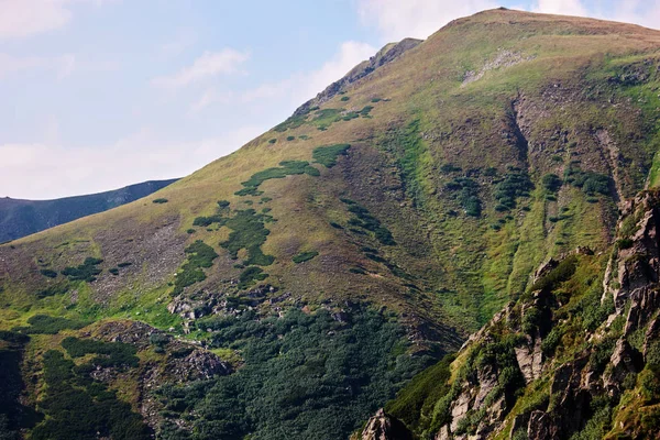 Pendii erbosi delle montagne dei Carpazi . — Foto Stock