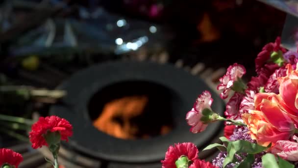 Розмитий палаючий вічний вогонь і букети квітів . — стокове відео