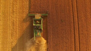 Akşam alanında birleştirin.