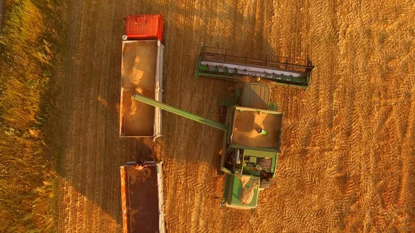 Combine unloads grain into truck.