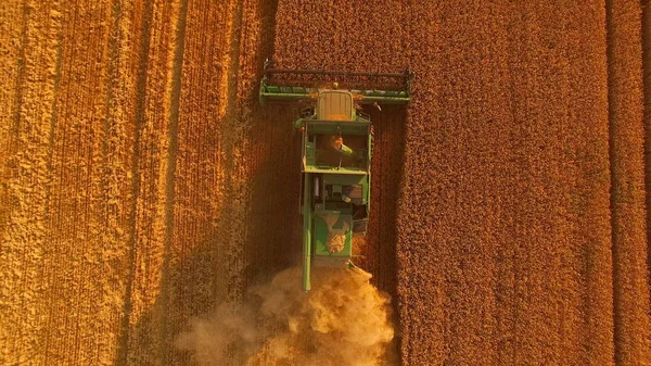 Combine harvester en gouden veld. — Stockfoto