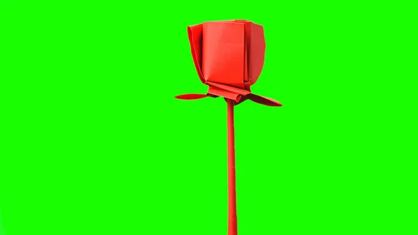 Tulipano rosso origami fiore . — Foto Stock